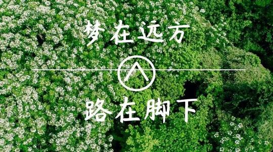 上?？婆d儀器